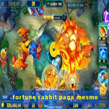 fortune rabbit paga mesmo